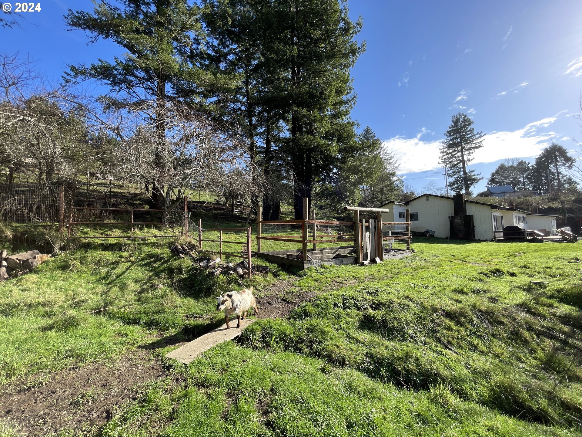 17676 Gardner Ridge Road Brookings, OR 97415 - Photo 37 of 42 a view of a garden with a tree