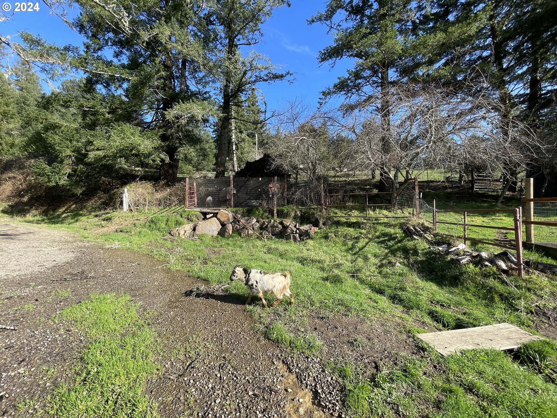 17676 Gardner Ridge Road Brookings, OR 97415 - Photo 38 of 42 a view of a lake with a tree