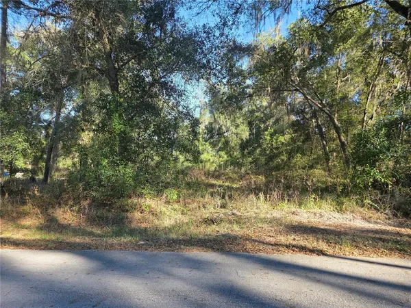 $25,000 | Tbd Northwest 120th Avenue, Ocala, FL 34482