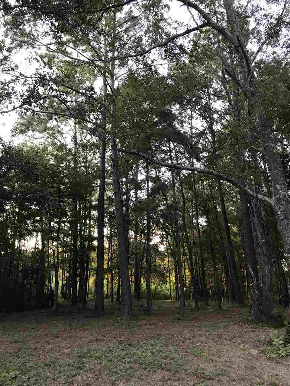 1 Styx River Road Stapleton, AL 36578 - Photo 7 of 11