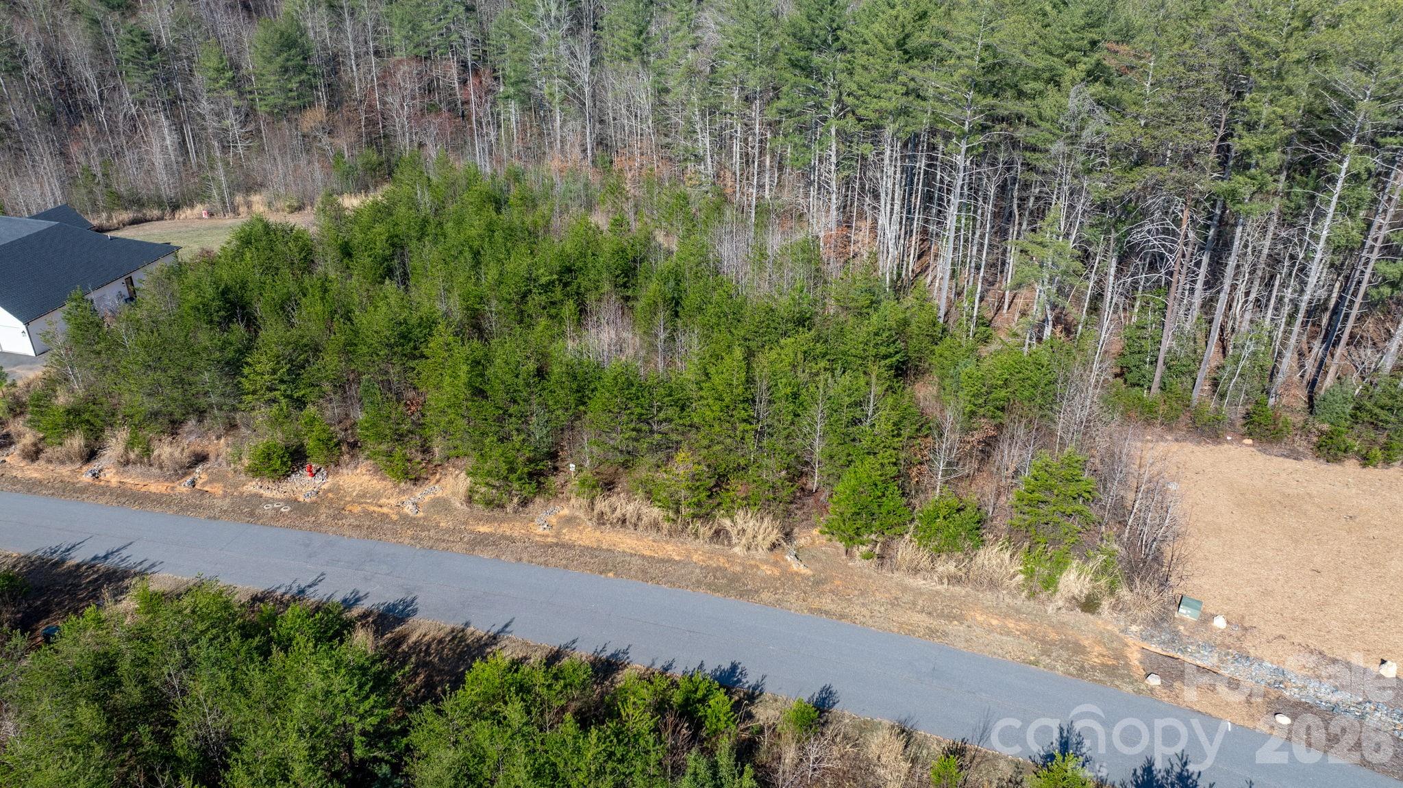 2084 Starlight Lane Morganton, NC 28655 - Photo 11 of 28 a view of a yard with plants and large trees