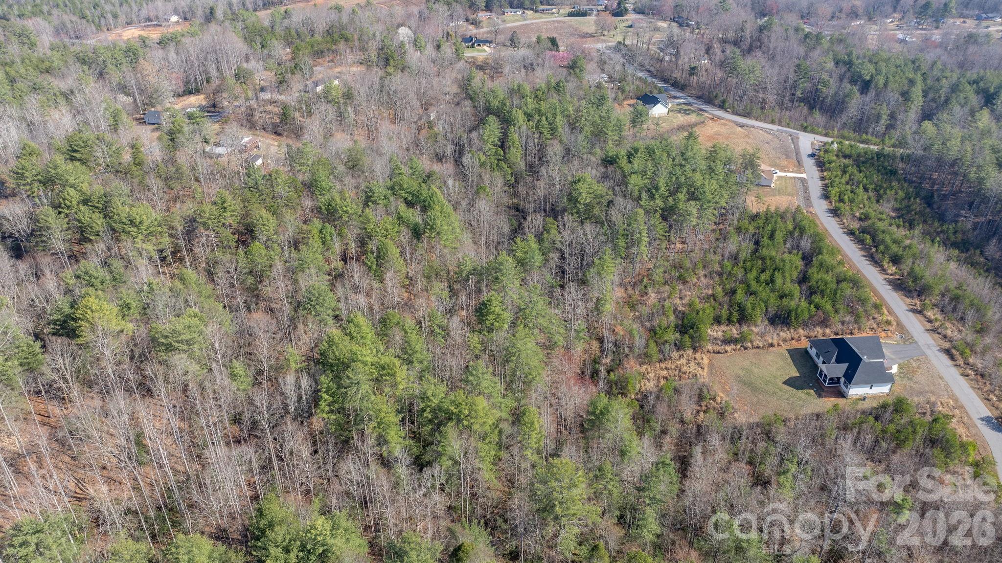 2084 Starlight Lane Morganton, NC 28655 - Photo 15 of 28 a view of a yard with a tree
