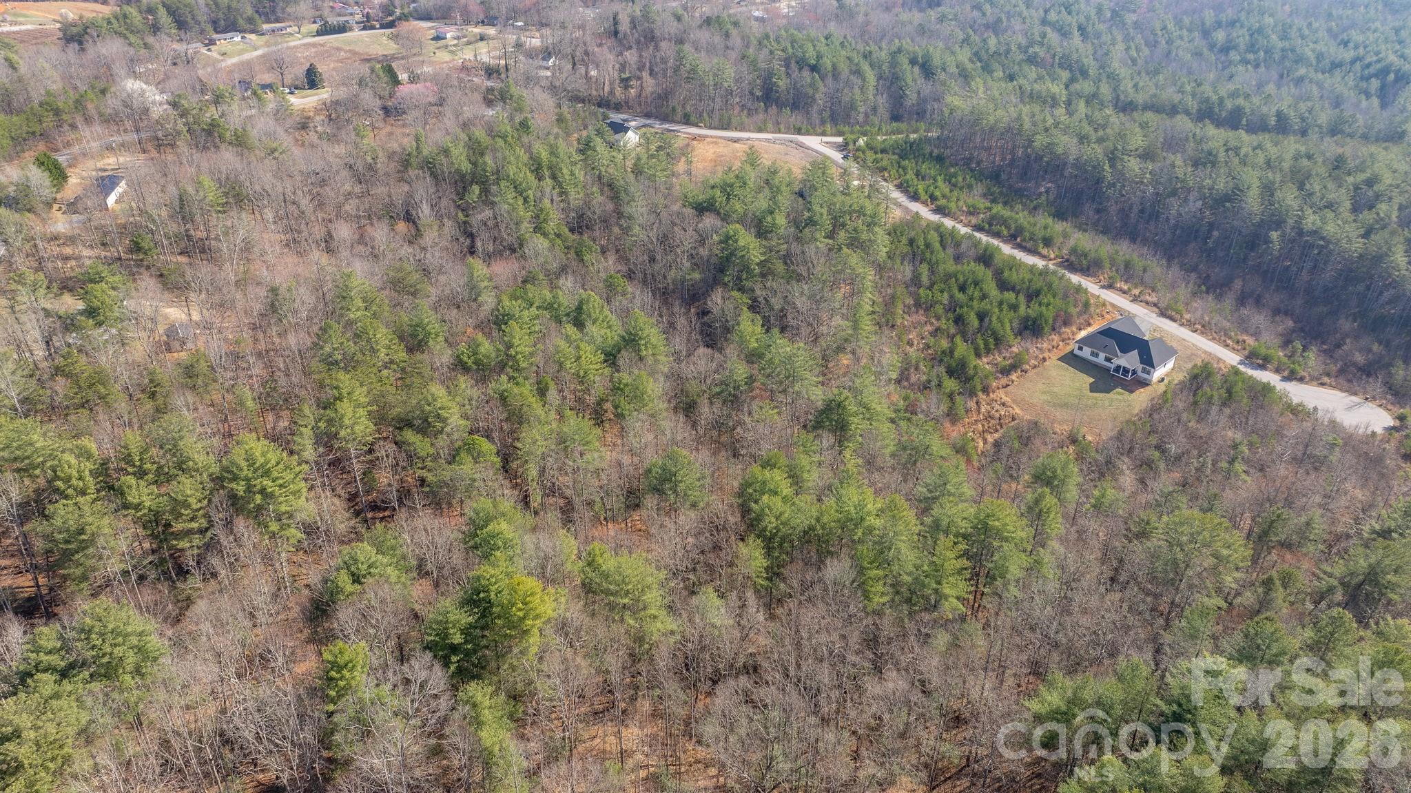 2084 Starlight Lane Morganton, NC 28655 - Photo 16 of 28 a view of a forest with a forest