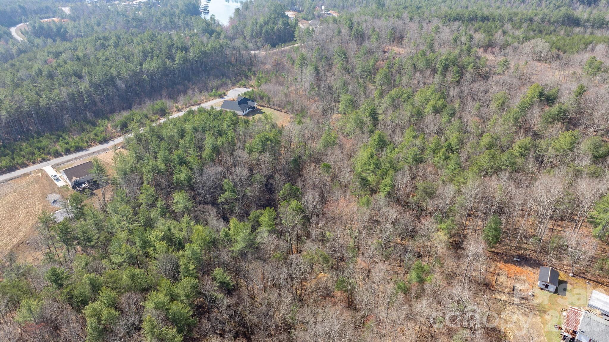2084 Starlight Lane Morganton, NC 28655 - Photo 19 of 28 a view of a lush green forest with large trees