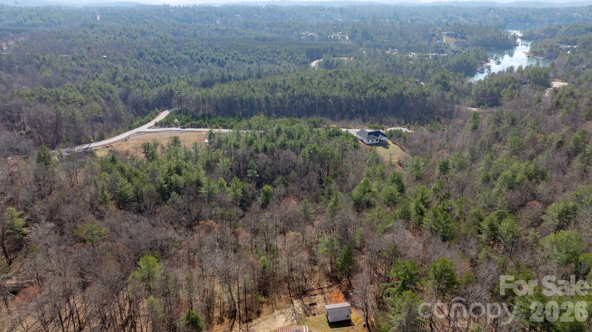 2084 Starlight Lane Morganton, NC 28655 - Photo 21 of 28 a view of a forest with a yard