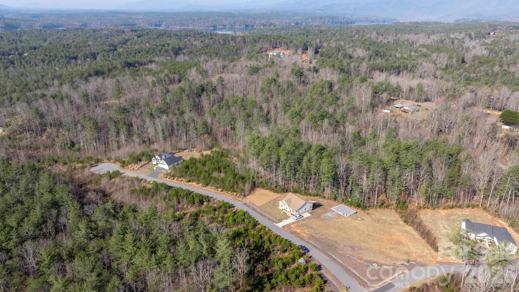 2084 Starlight Lane Morganton, NC 28655 - Photo 26 of 28 a view of a yard with a tree