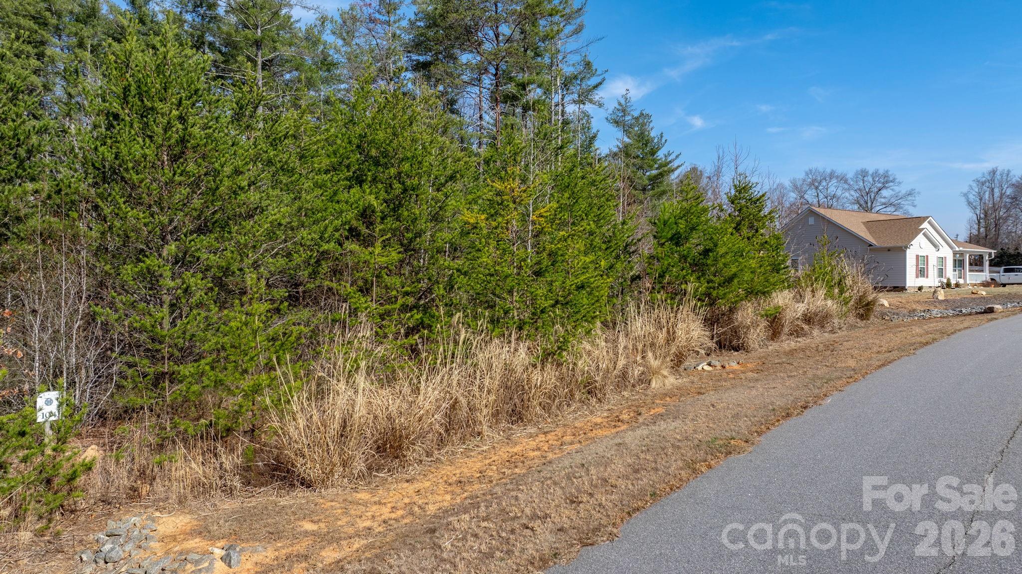2084 Starlight Lane Morganton, NC 28655 - Photo 6 of 28 a view of a yard with plants and trees beside of it