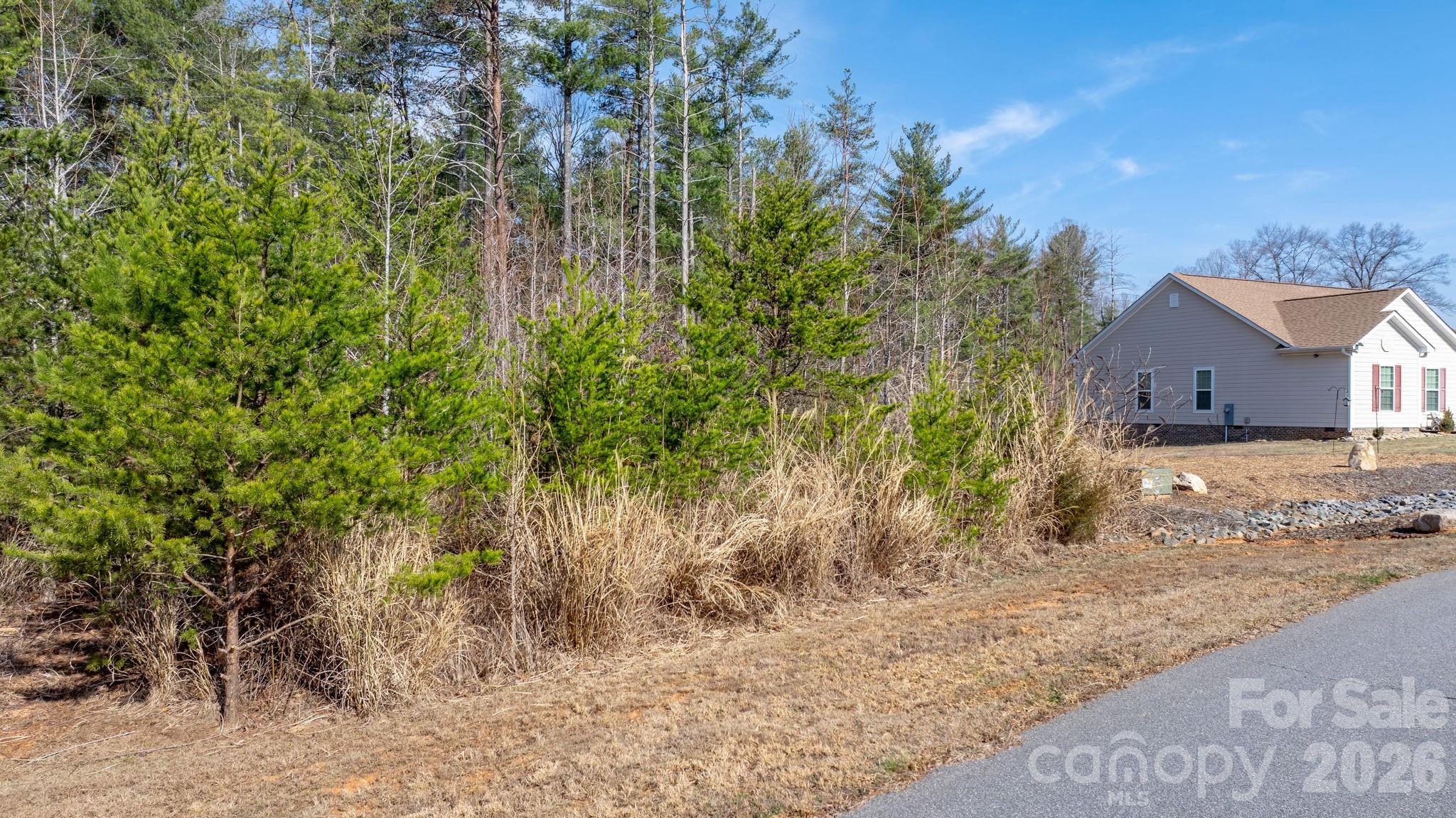 2084 Starlight Lane Morganton, NC 28655 - Photo 7 of 28 a view of a yard with plants and trees