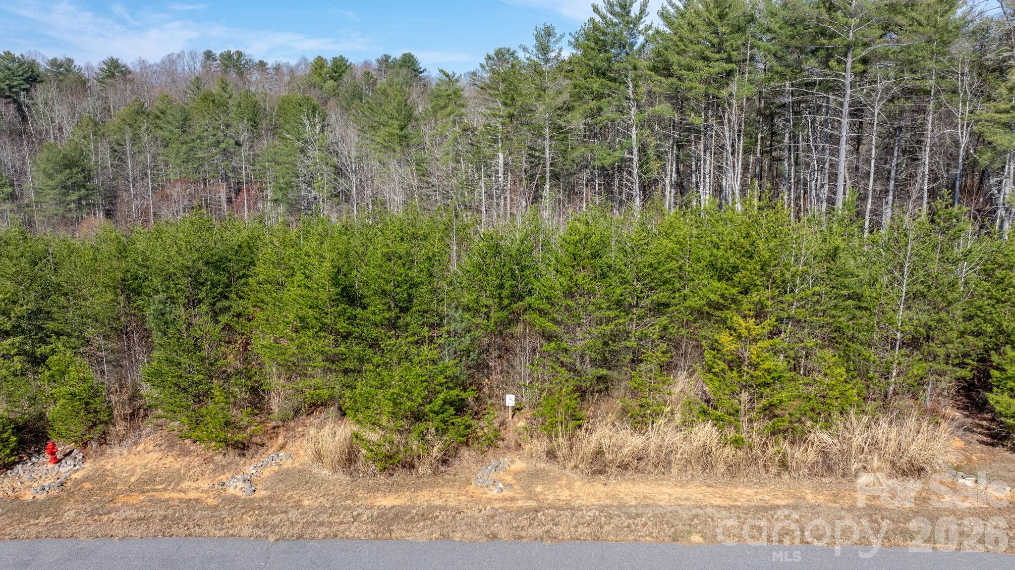 2084 Starlight Lane Morganton, NC 28655 - Photo 9 of 28 a view of a yard with large trees