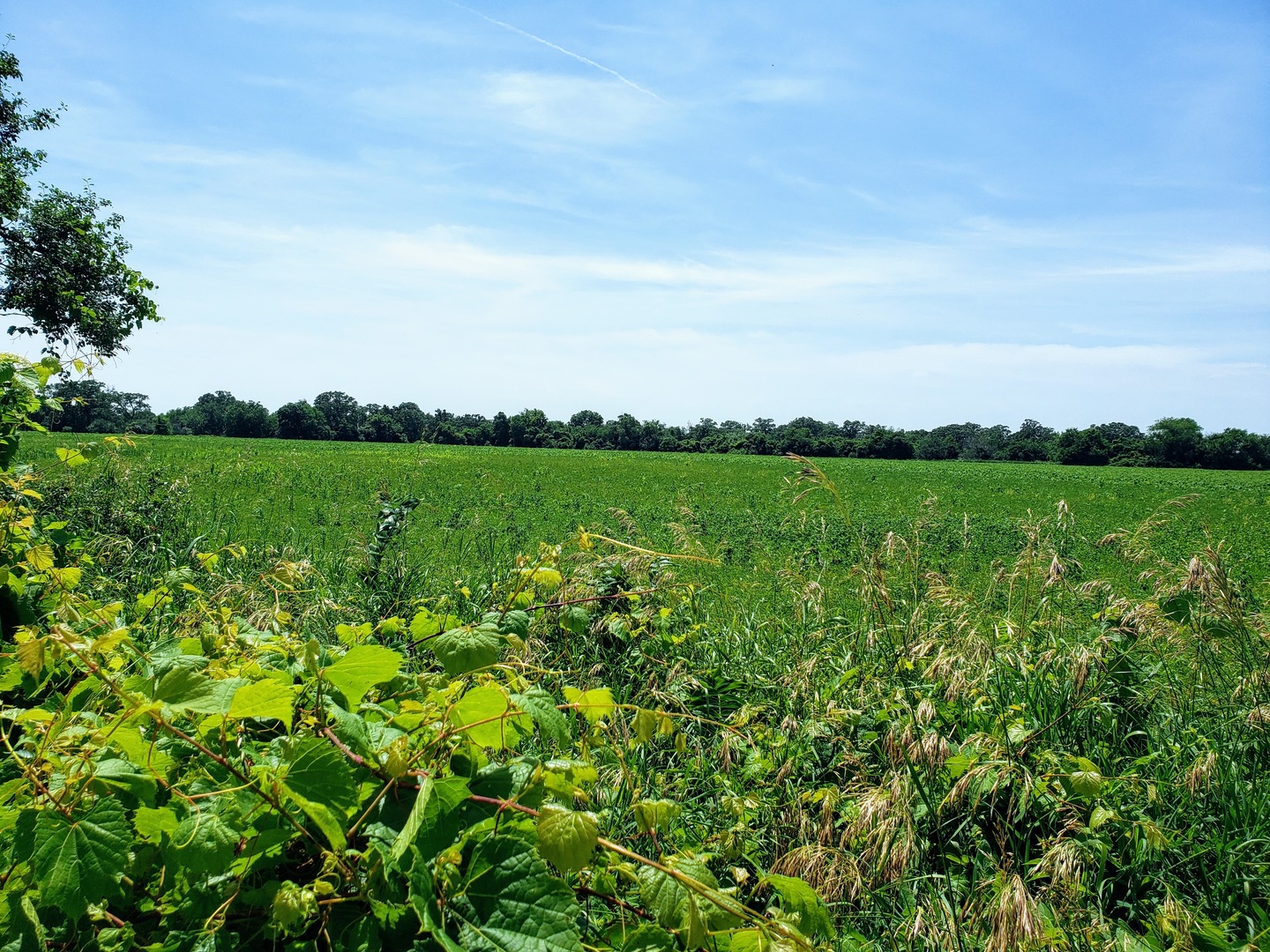 Lot 1 Keystone Road Richmond, IL 60071 - Photo 2 of 3