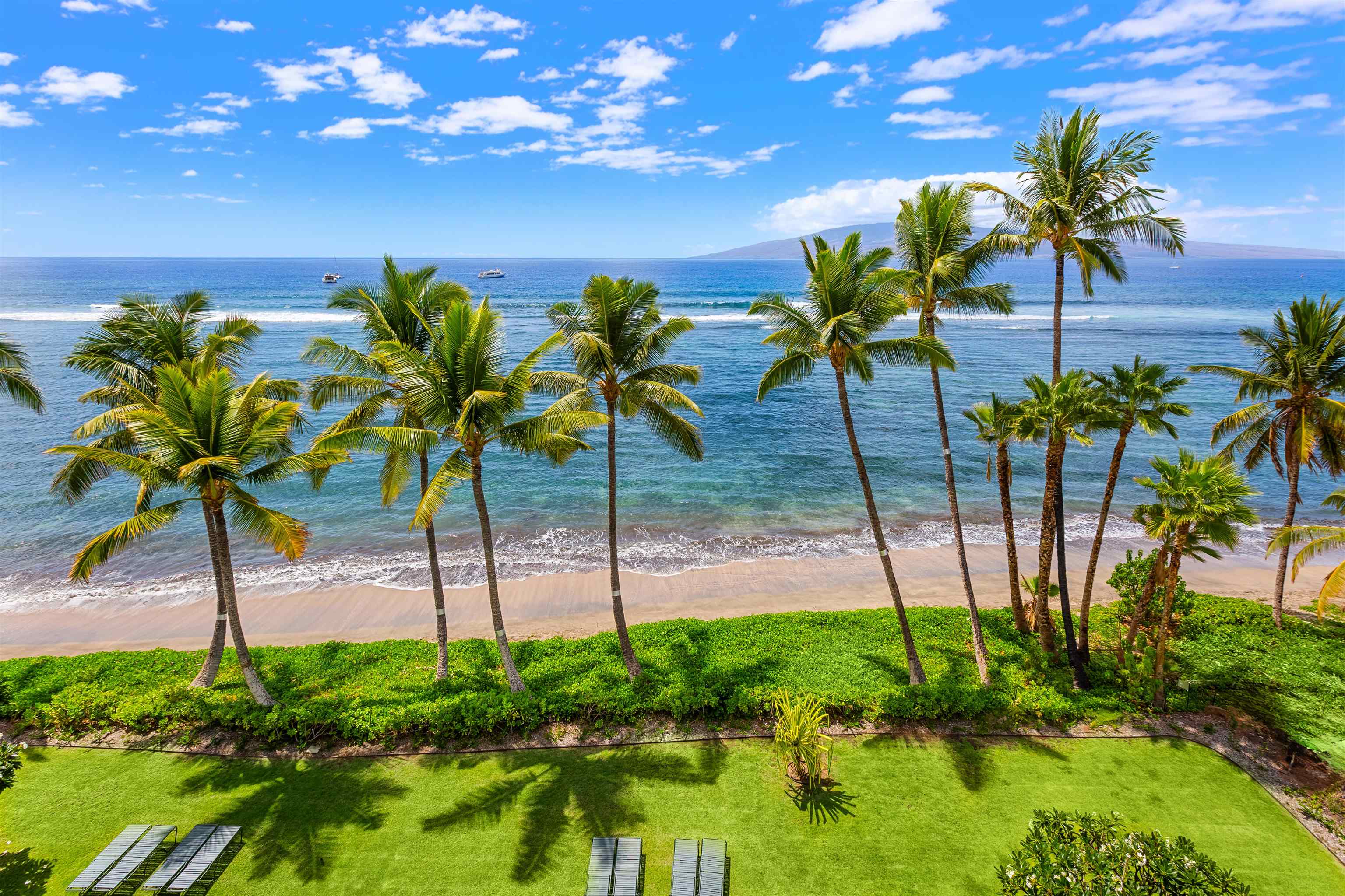 475 Front Street, Unit 635 Lahaina, HI 96761 - Photo 23 of 23 a view of a palm tree with a yard