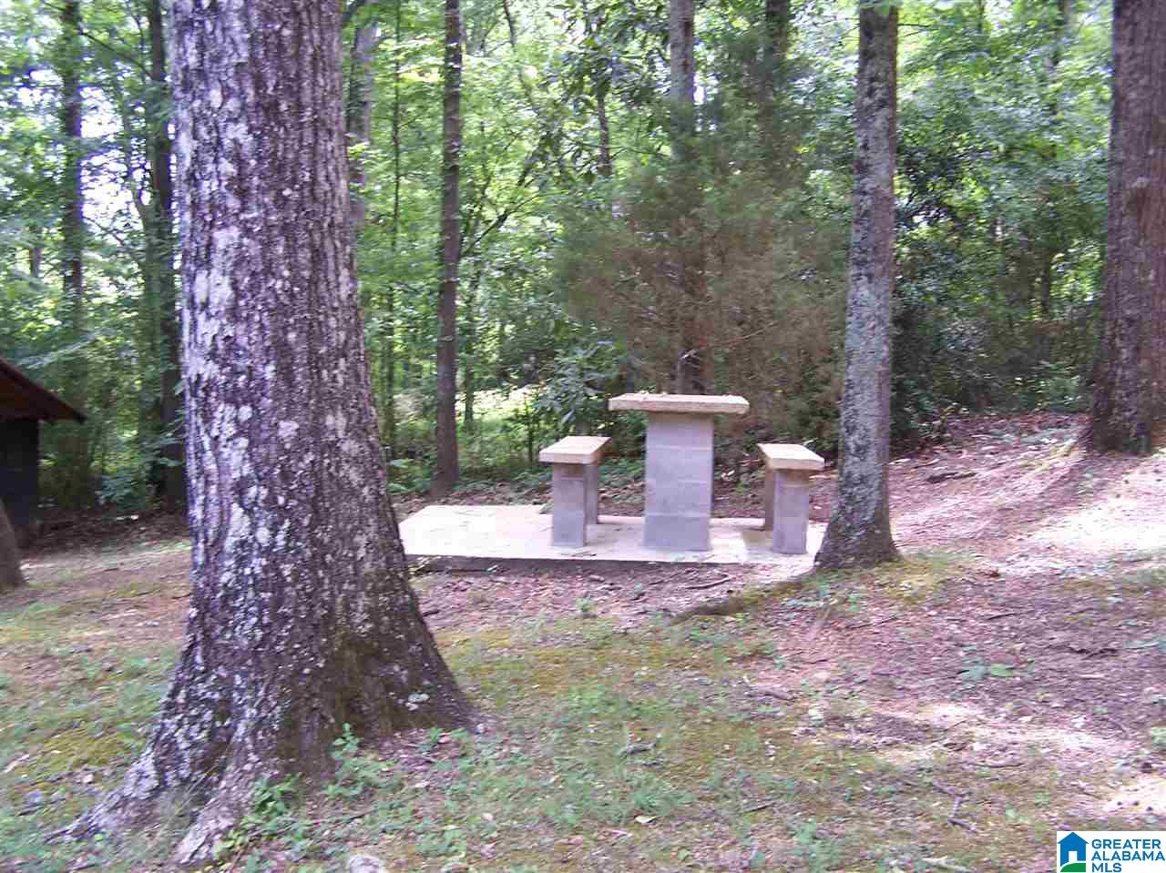 101 Virginia Street Oneonta, AL 35121 - Photo 23 of 27