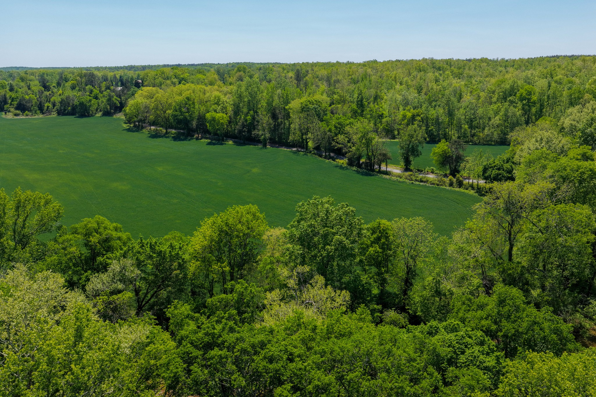 0 Phillips Chapel Road Waynesboro, TN 38485 - Photo 12 of 19 a view of a green field with lots of bushes