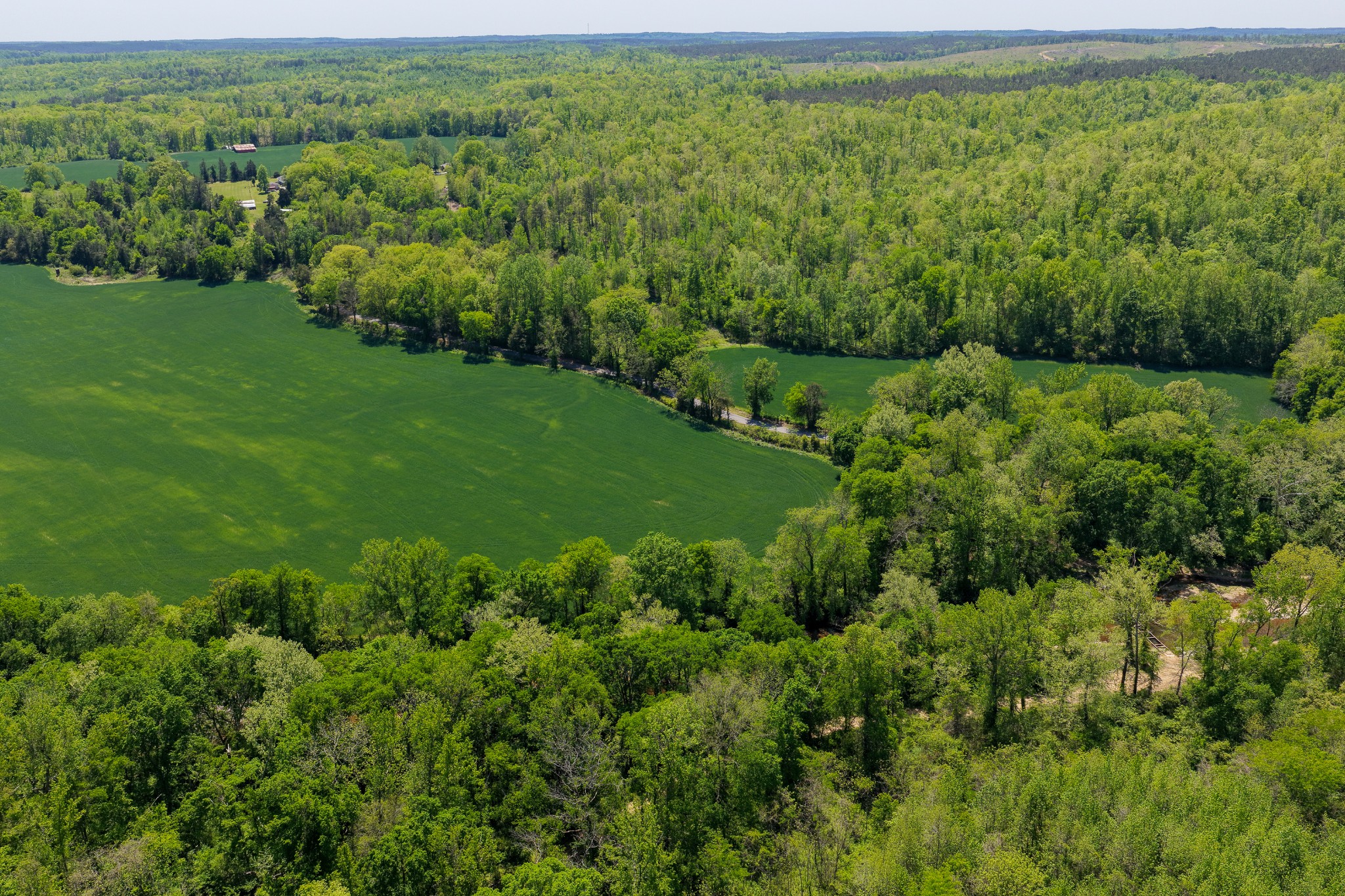0 Phillips Chapel Road Waynesboro, TN 38485 - Photo 13 of 19 a view of a green field with lots of bushes