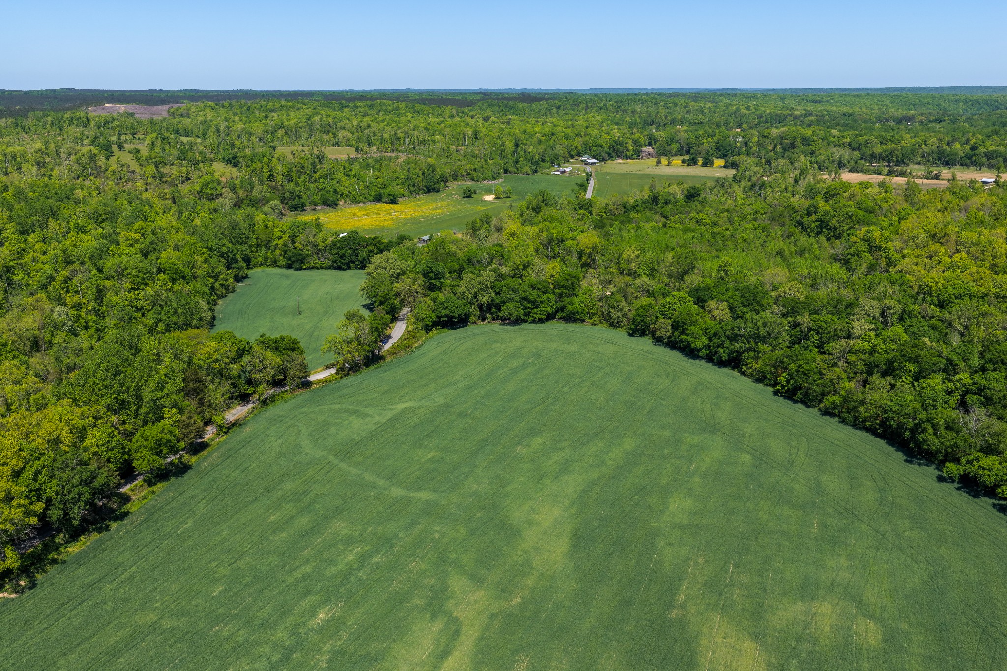 0 Phillips Chapel Road Waynesboro, TN 38485 - Photo 17 of 19 a view of a green field with lots of green space
