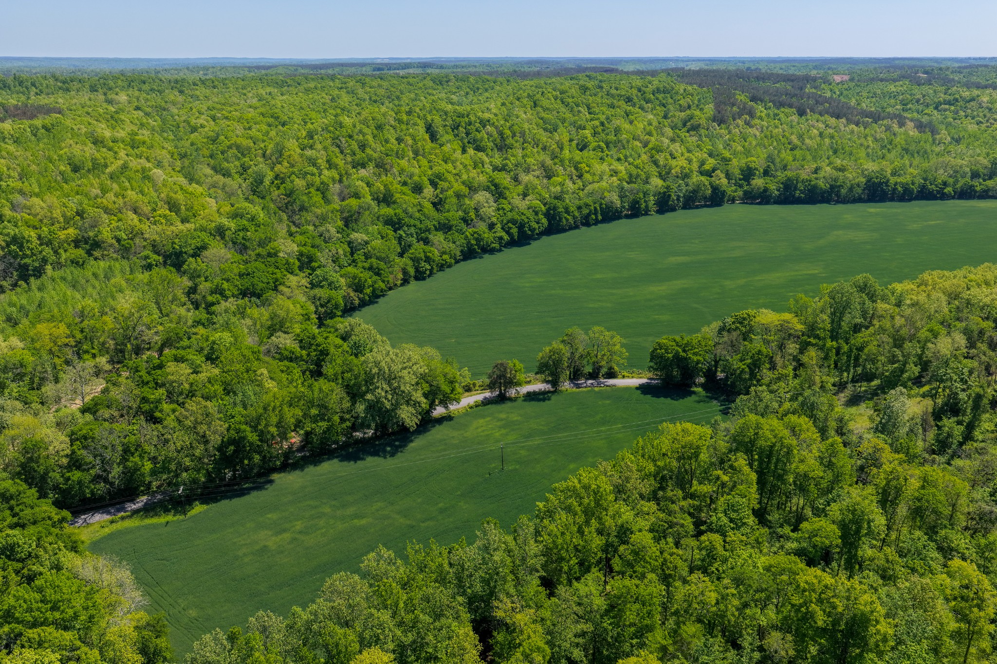 0 Phillips Chapel Road Waynesboro, TN 38485 - Photo 18 of 19 a view of a lush green field