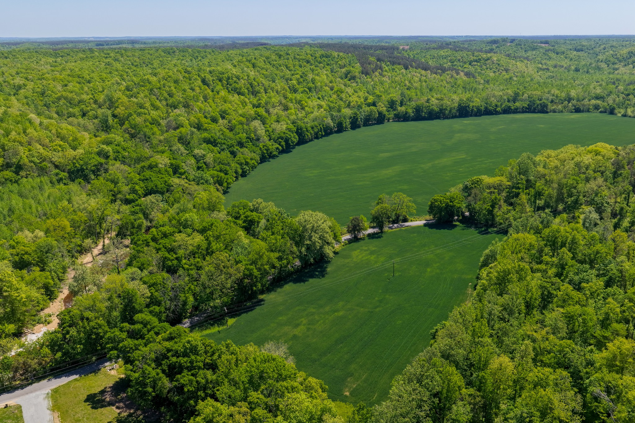 0 Phillips Chapel Road Waynesboro, TN 38485 - Photo 19 of 19 a view of a green field with plants in it