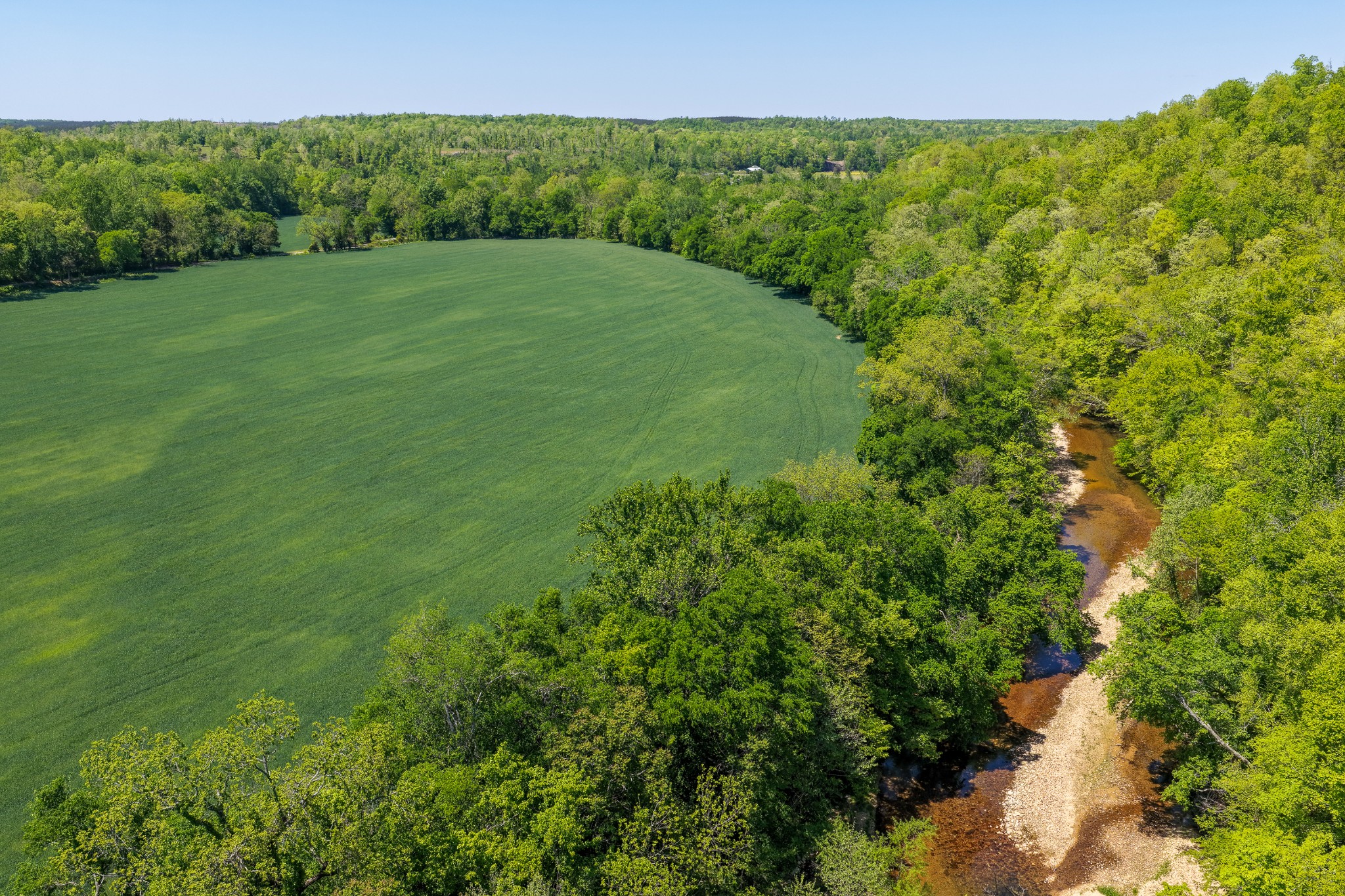 0 Phillips Chapel Road Waynesboro, TN 38485 - Photo 2 of 19 a view of a green yard