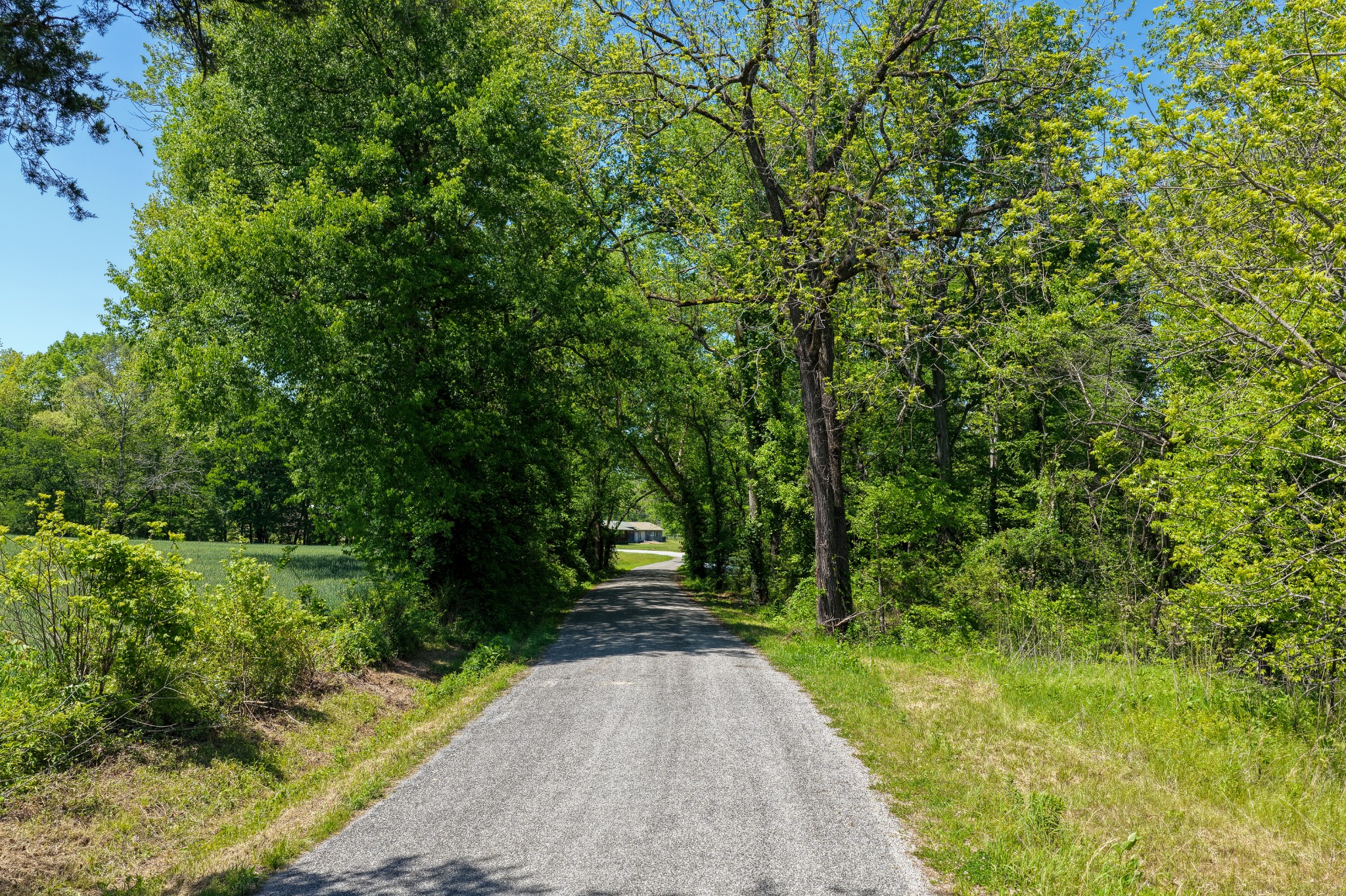 0 Phillips Chapel Road Waynesboro, TN 38485 - Photo 4 of 19 a view of park with trees