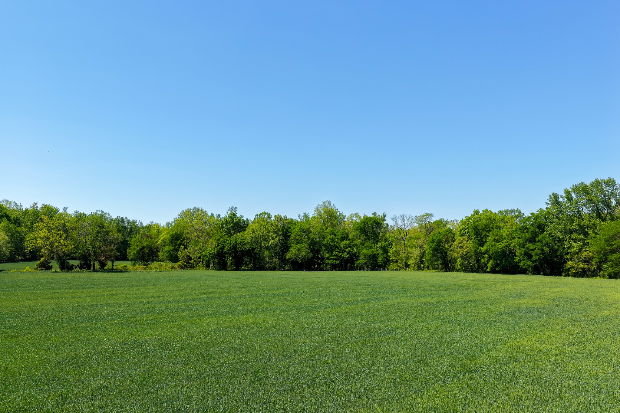 0 Phillips Chapel Road Waynesboro, TN 38485 - Photo 7 of 19 a view of a green field with wooden fence