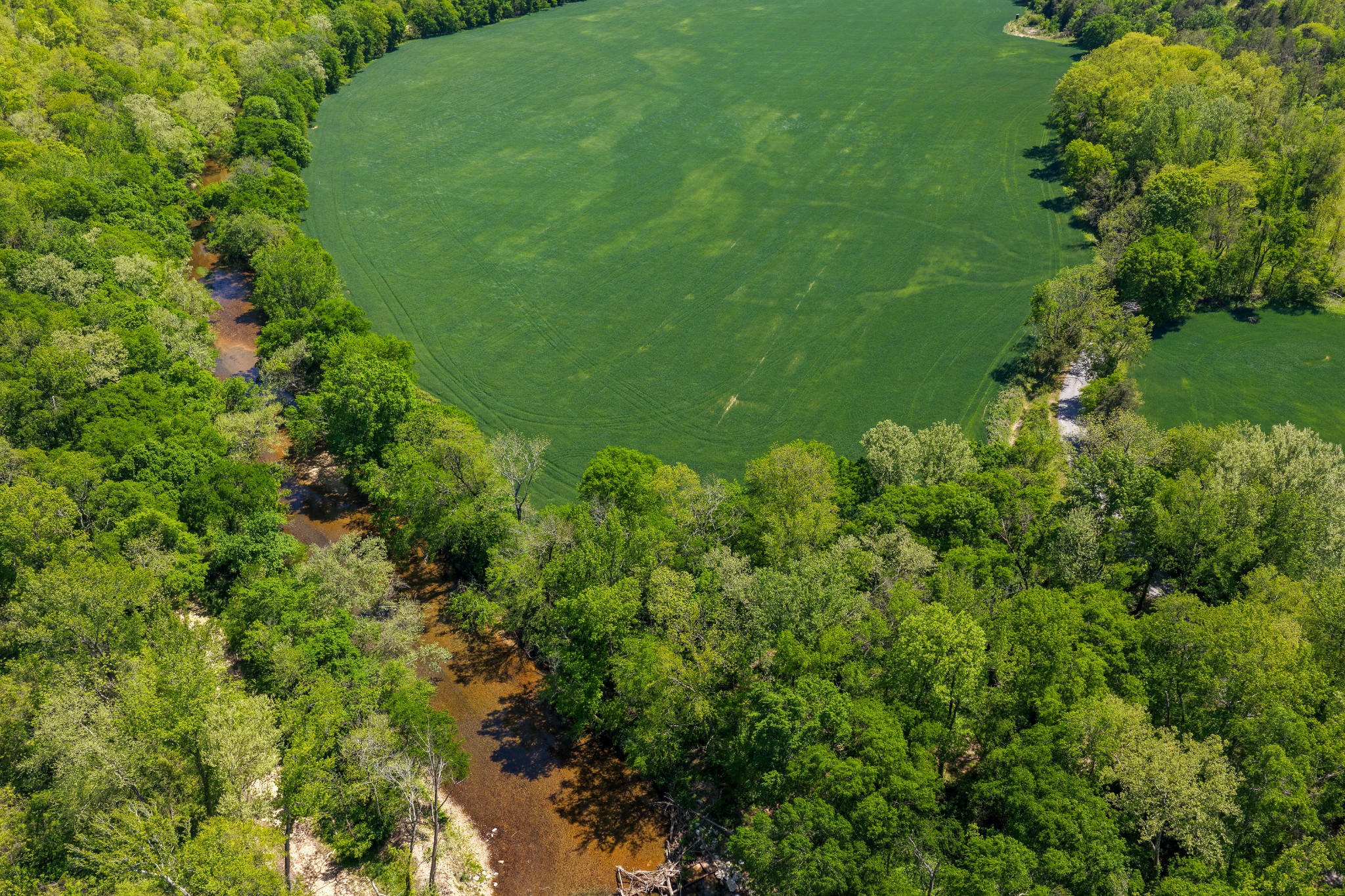 0 Phillips Chapel Road Waynesboro, TN 38485 - Photo 10 of 19