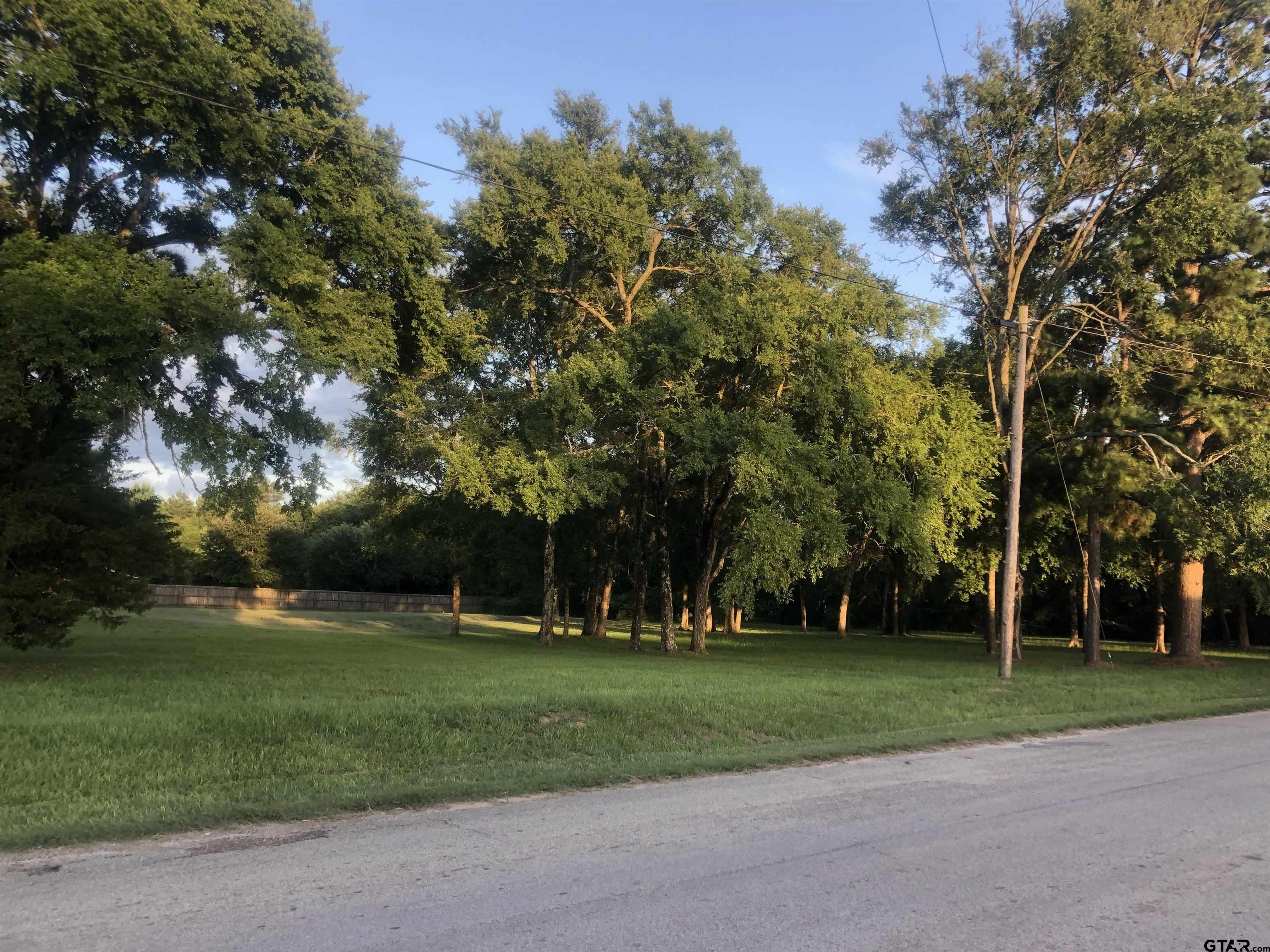 124 White Street Rusk, TX 75785 - Photo 2 of 2