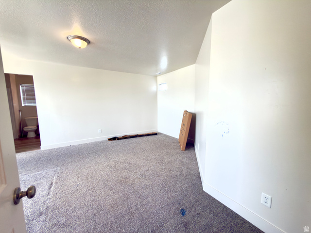 1823 South Longview Road Santaquin, UT 84655 - Photo 46 of 69 Expansive carpeted room featuring a ceiling-mounted light fixture, white baseboards, and neutral wall paint