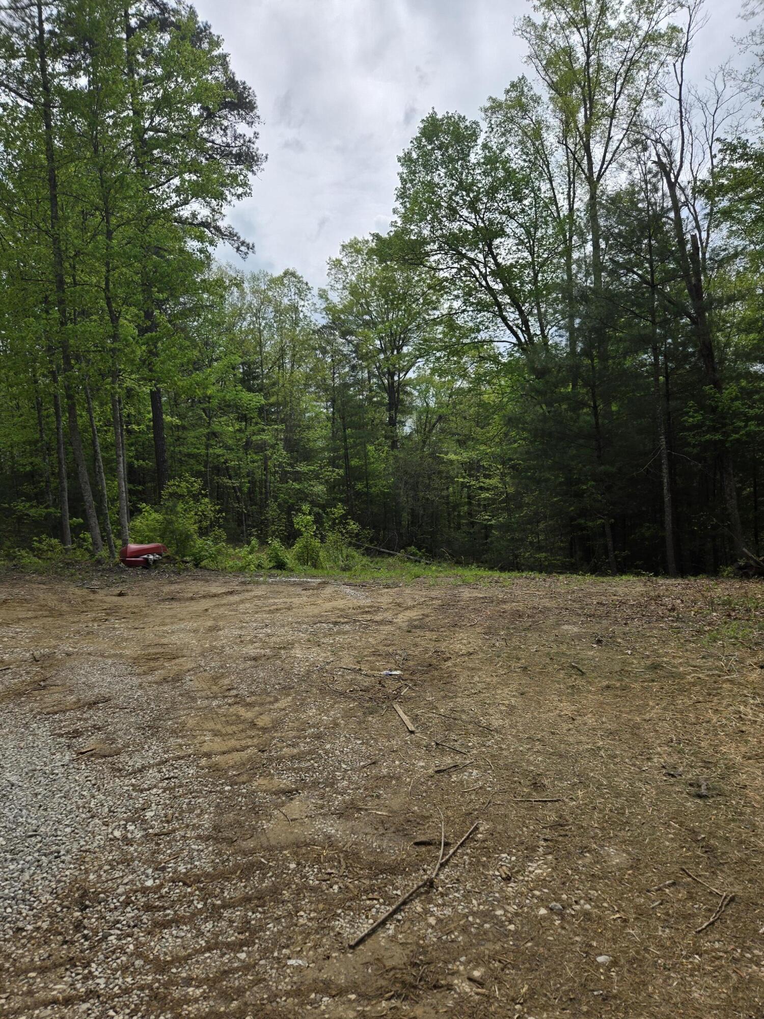 0 Wolfe Lk Road Campton, KY 41301 - Photo 5 of 5 20250501_111841(0)