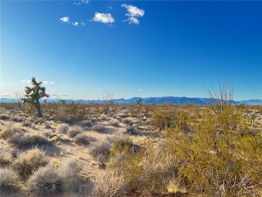 0 South Custer Road Yucca, AZ 86438 - Photo 1 of 14