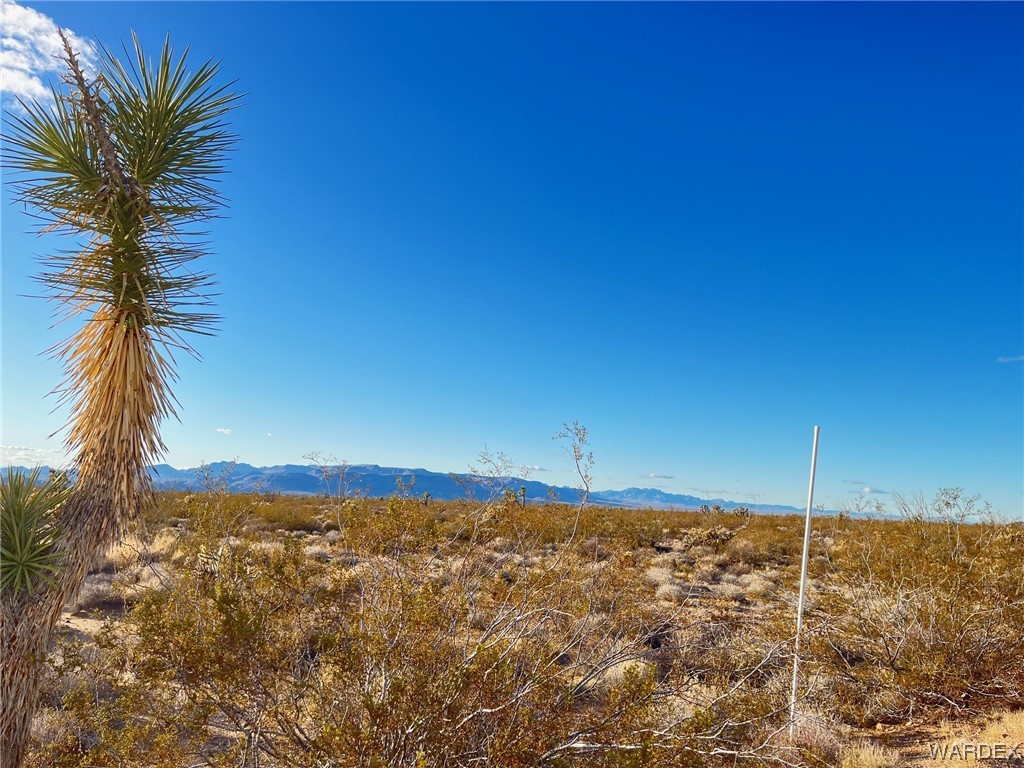0 South Custer Road Yucca, AZ 86438 - Photo 3 of 14