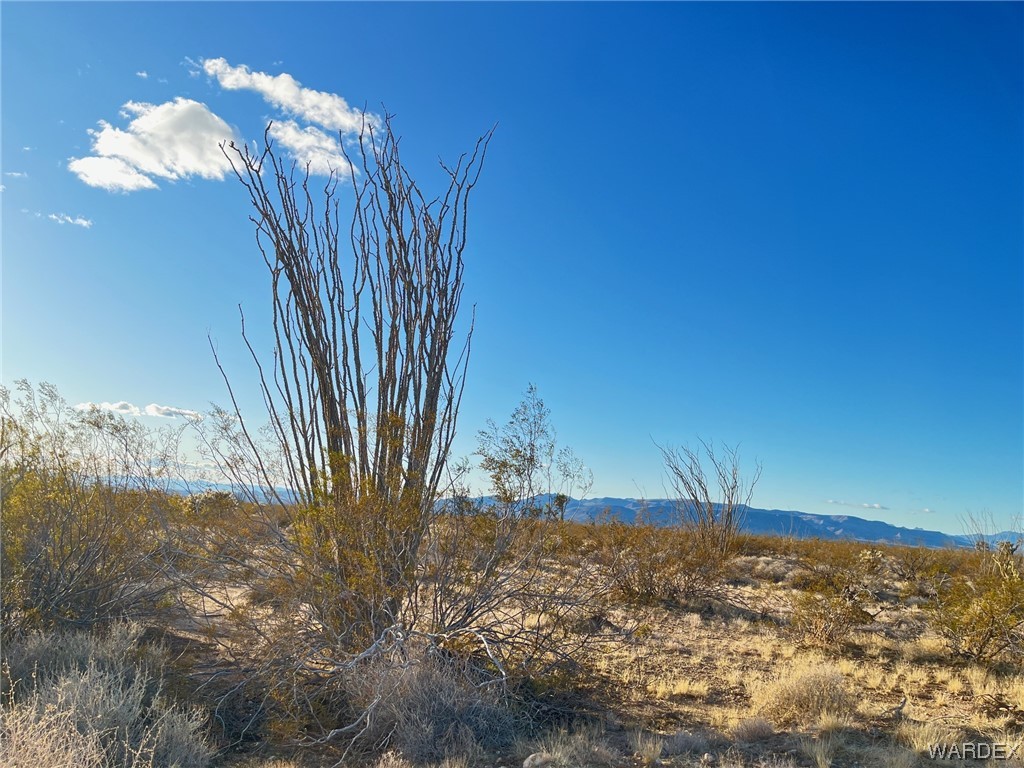 0 South Custer Road Yucca, AZ 86438 - Photo 4 of 14