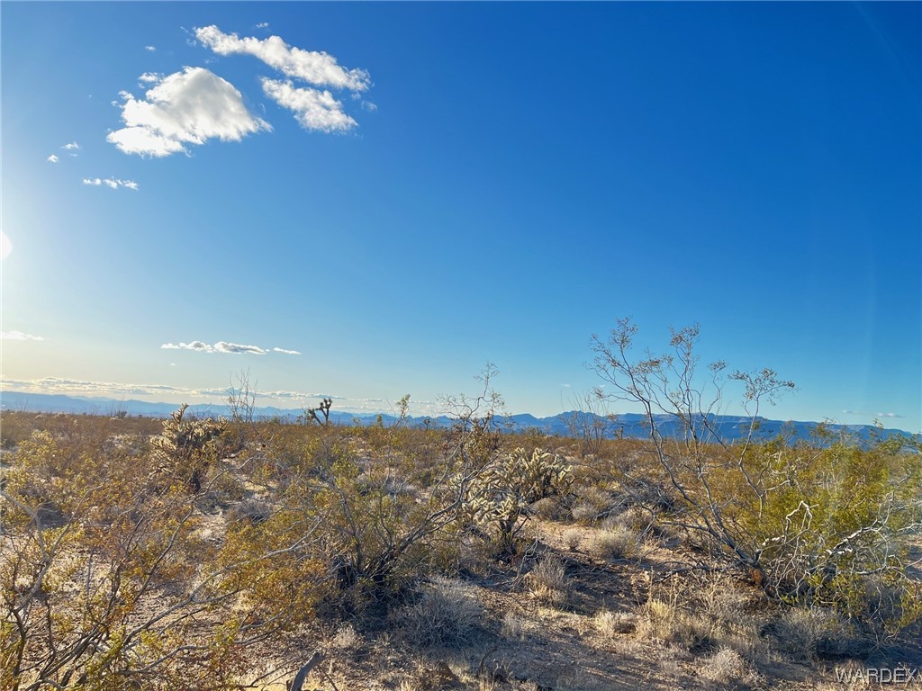 0 South Custer Road Yucca, AZ 86438 - Photo 5 of 14