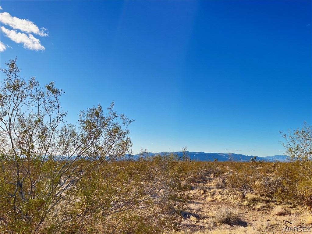 0 South Custer Road Yucca, AZ 86438 - Photo 6 of 14