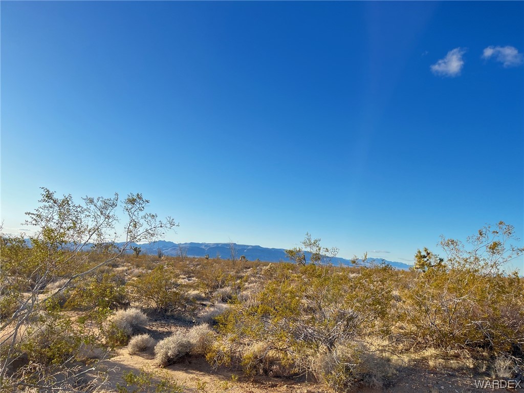 0 South Custer Road Yucca, AZ 86438 - Photo 7 of 14