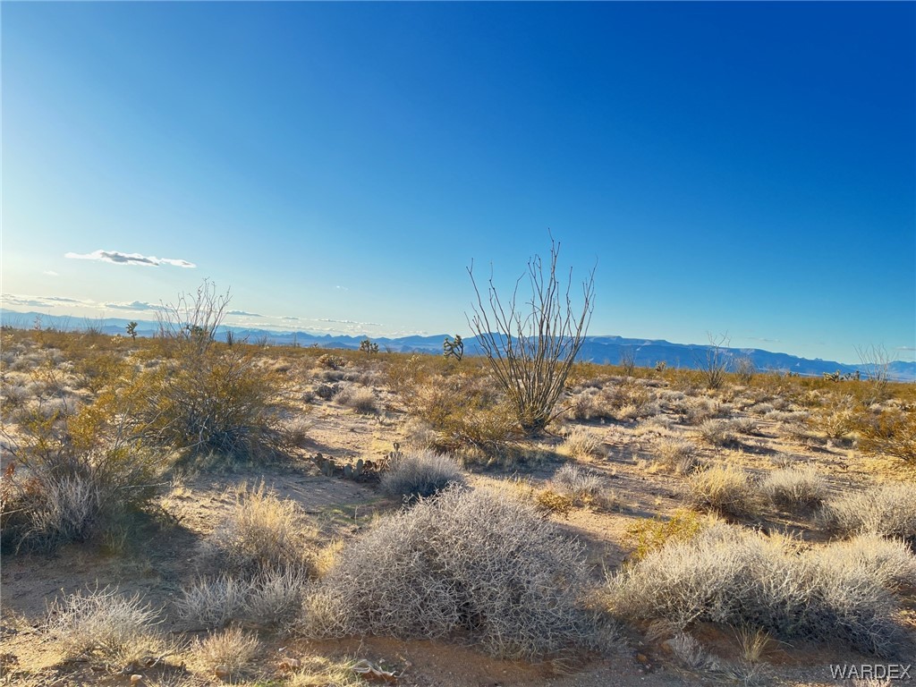 0 South Custer Road Yucca, AZ 86438 - Photo 9 of 14