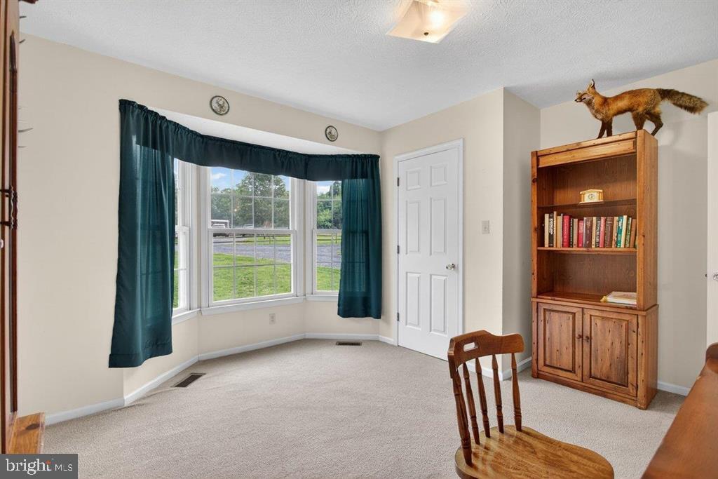 2220 Pine Woods Road Quicksburg, VA 22847 - Photo 51 of 55