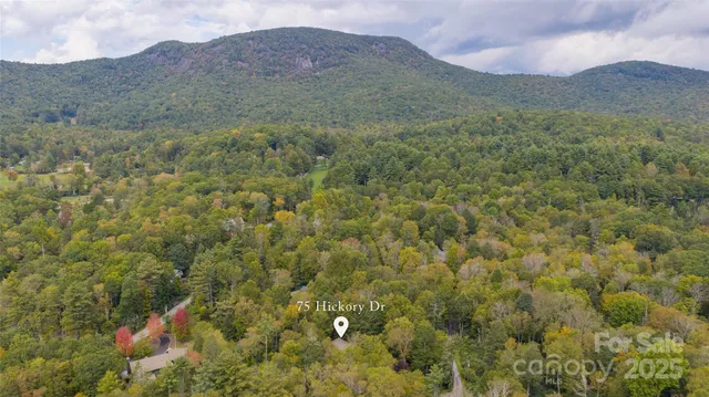 a view of outdoor space and yard