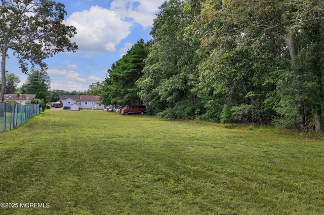 a view of a field with grass and trees
