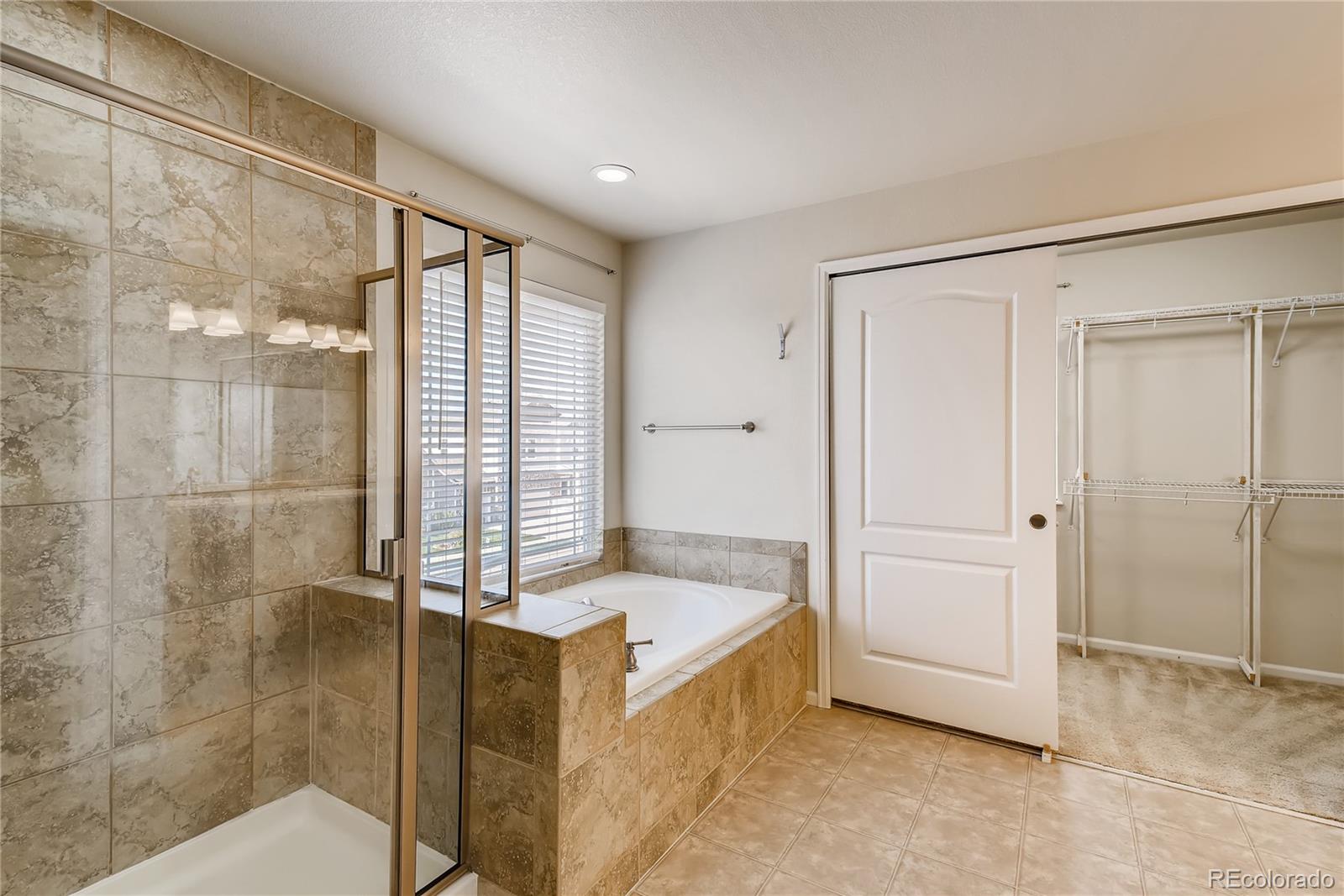 874 Diamond Rim Drive Colorado Springs, CO 80921 - Photo 18 of 33