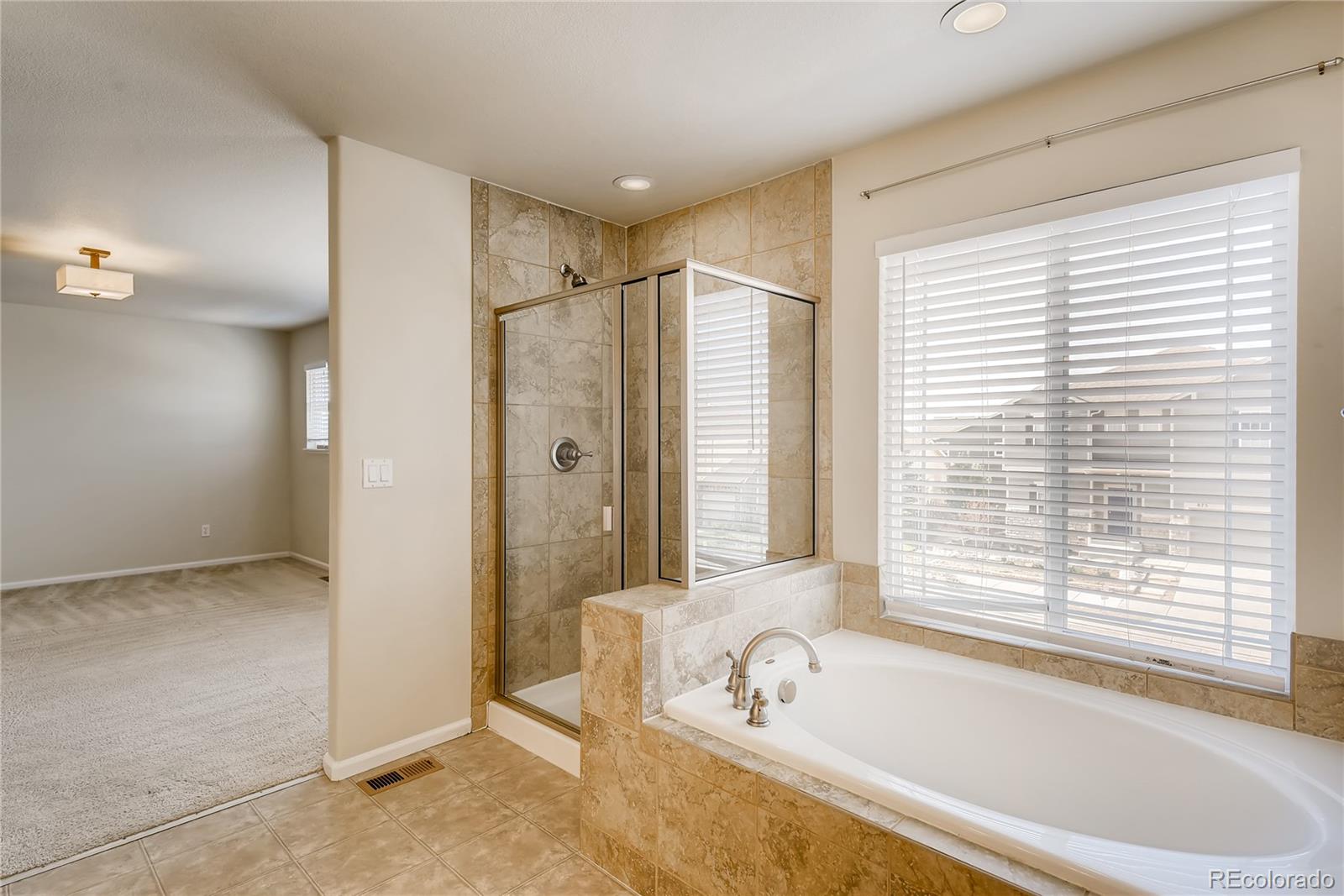 874 Diamond Rim Drive Colorado Springs, CO 80921 - Photo 19 of 33