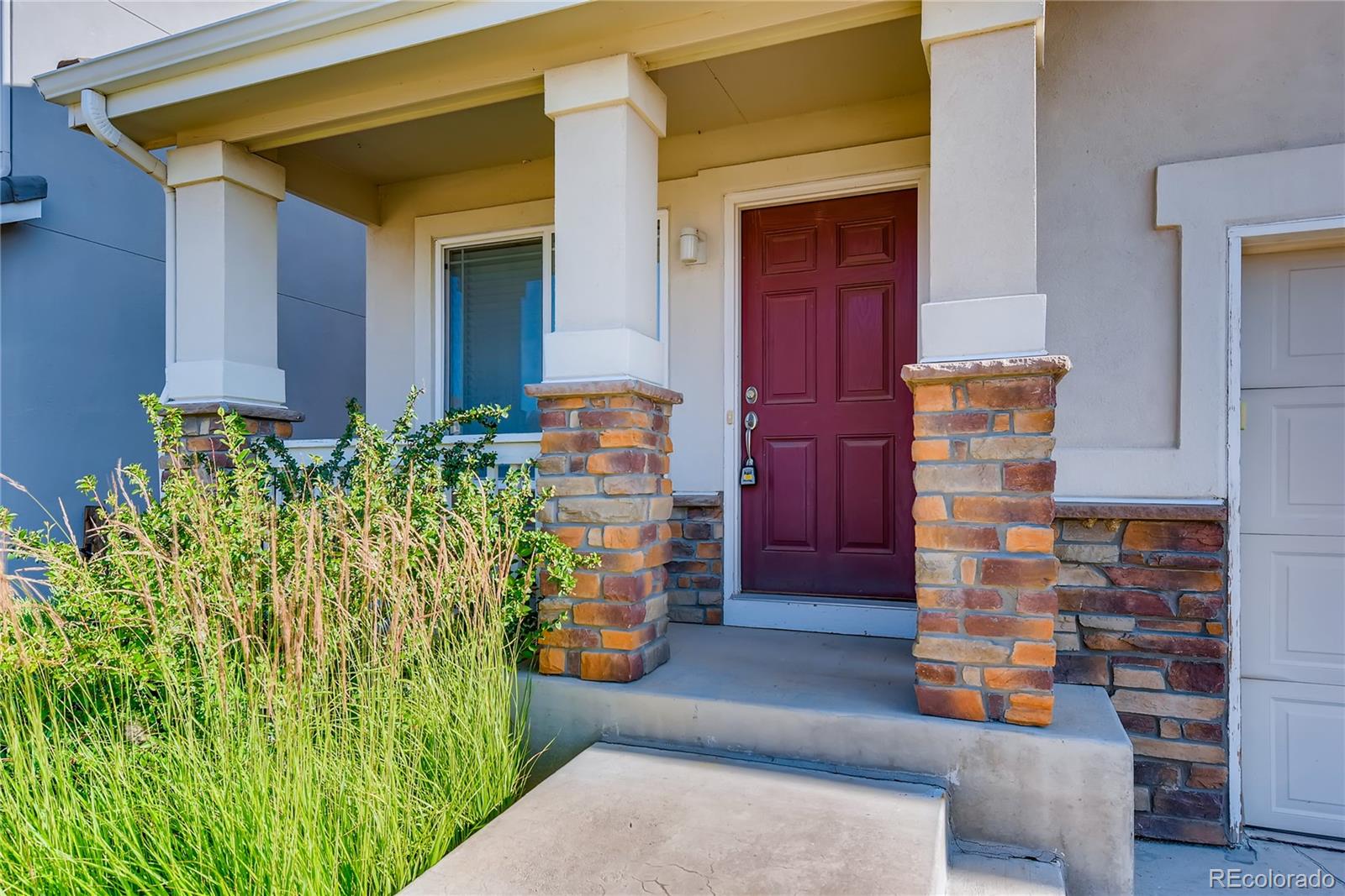 874 Diamond Rim Drive Colorado Springs, CO 80921 - Photo 2 of 33