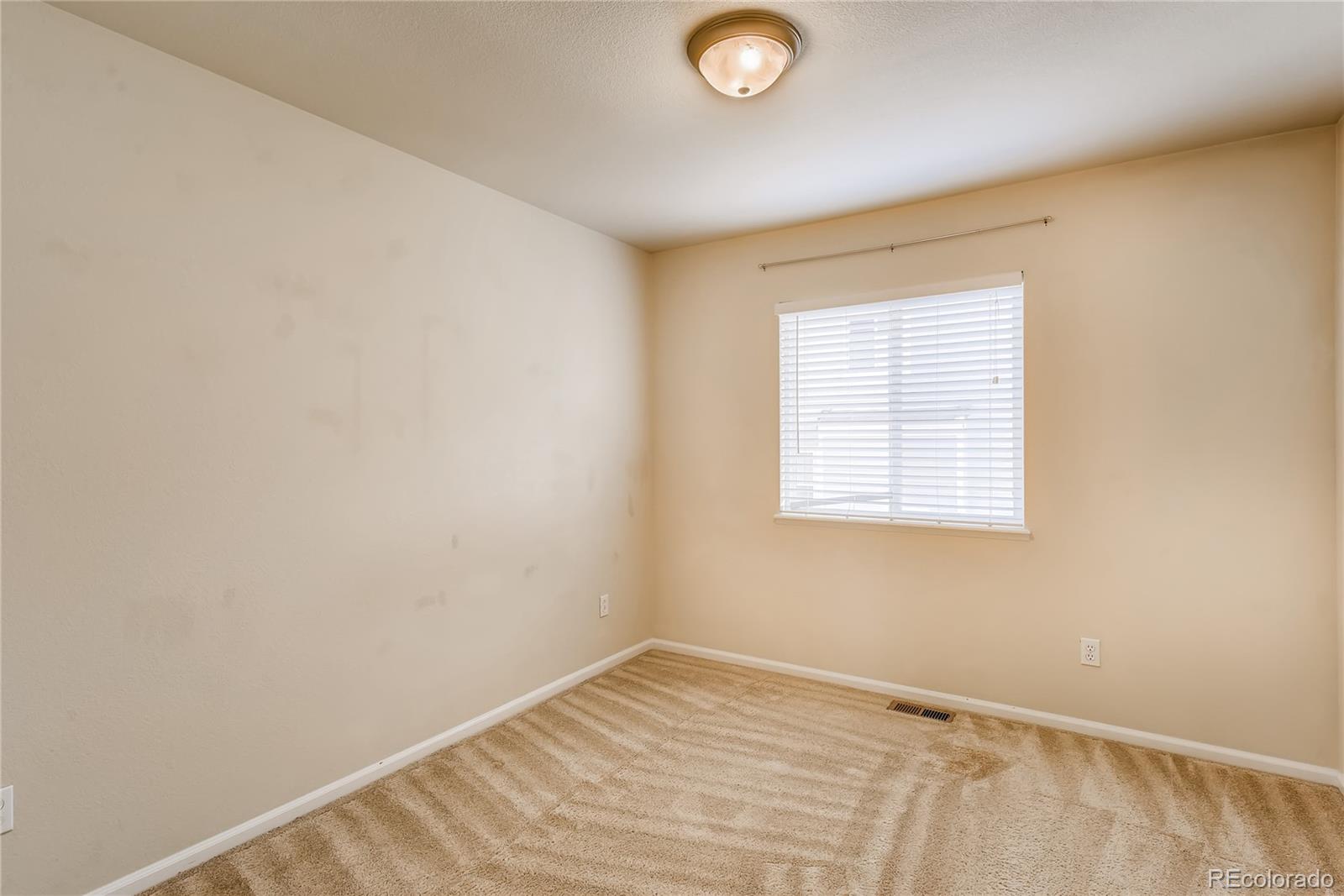 874 Diamond Rim Drive Colorado Springs, CO 80921 - Photo 22 of 33