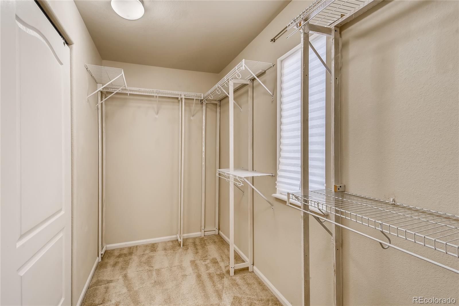 874 Diamond Rim Drive Colorado Springs, CO 80921 - Photo 28 of 33