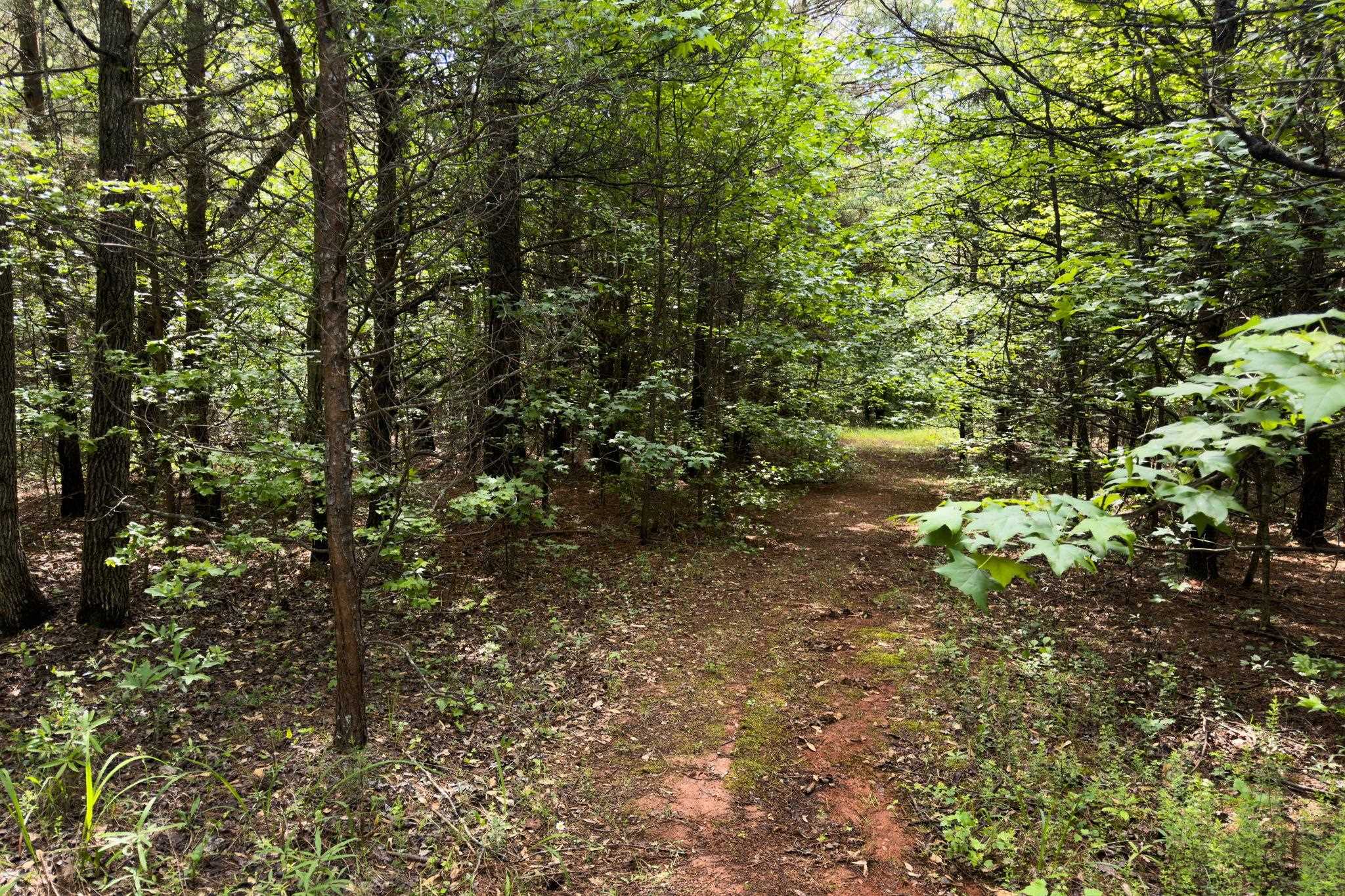 Tbd Melvin Hill Road Campobello, SC 29322 - Photo 12 of 29
