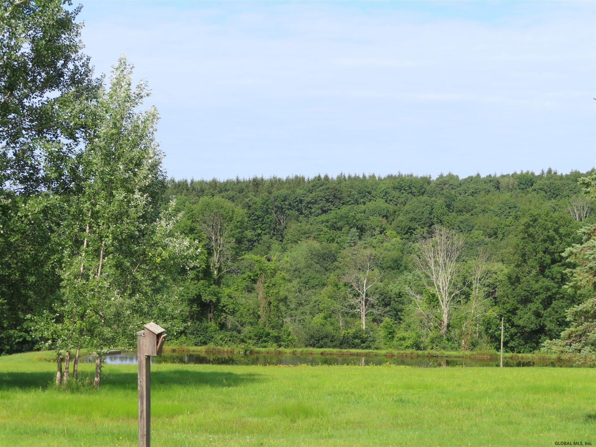 53 Hunt Road Westerlo, NY 12193 - Photo 36 of 50 Photo 36