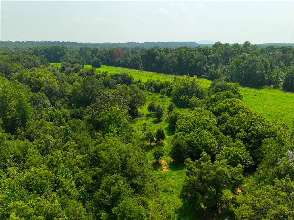 3961 Forrester Road Greer, SC 29651 - Photo 22 of 36 Gallery Image 22