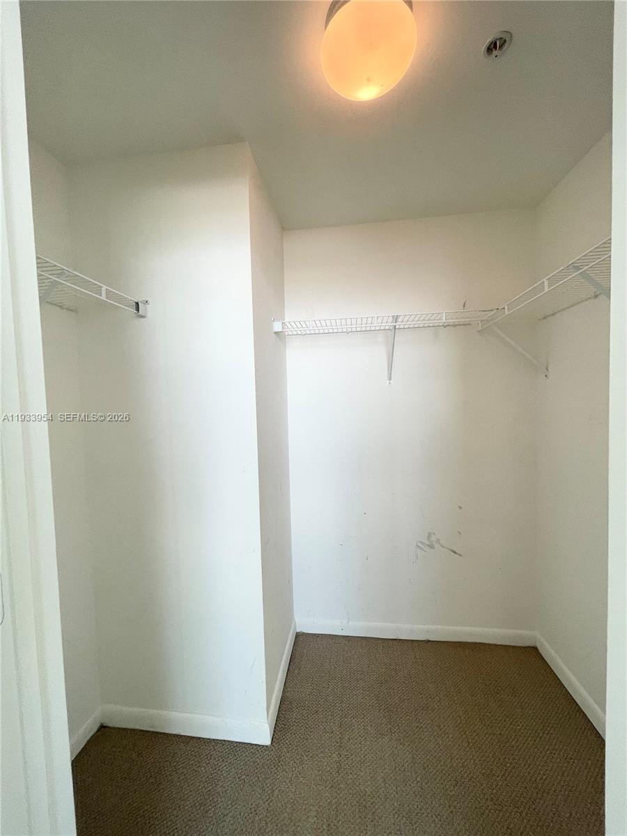253 Northeast 2nd Street, Unit 2409 Miami, FL 33132 - Photo 31 of 61 Walk-in closet