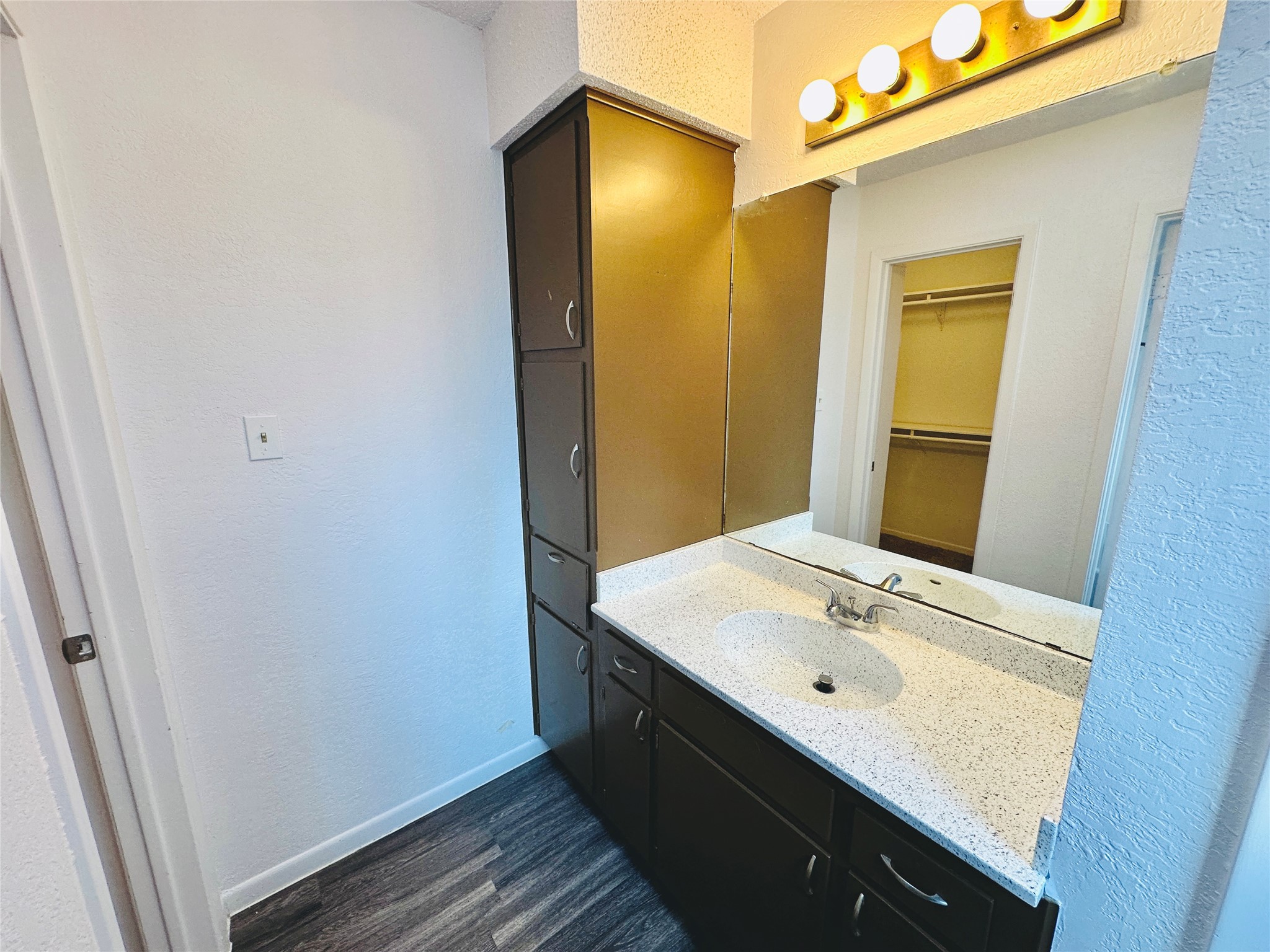 1002 Ridgemont Street Round Rock, TX 78664 - Photo 21 of 30 Bathroom featuring a textured wall, vanity, a walk in closet, and wood finished floors