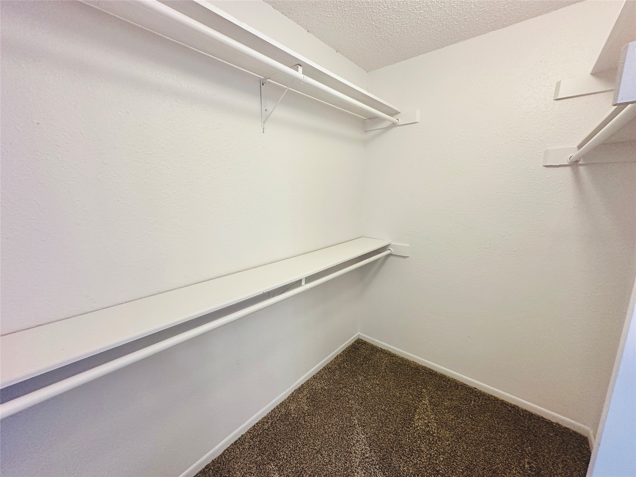 1002 Ridgemont Street Round Rock, TX 78664 - Photo 24 of 30 Spacious closet featuring dark carpet