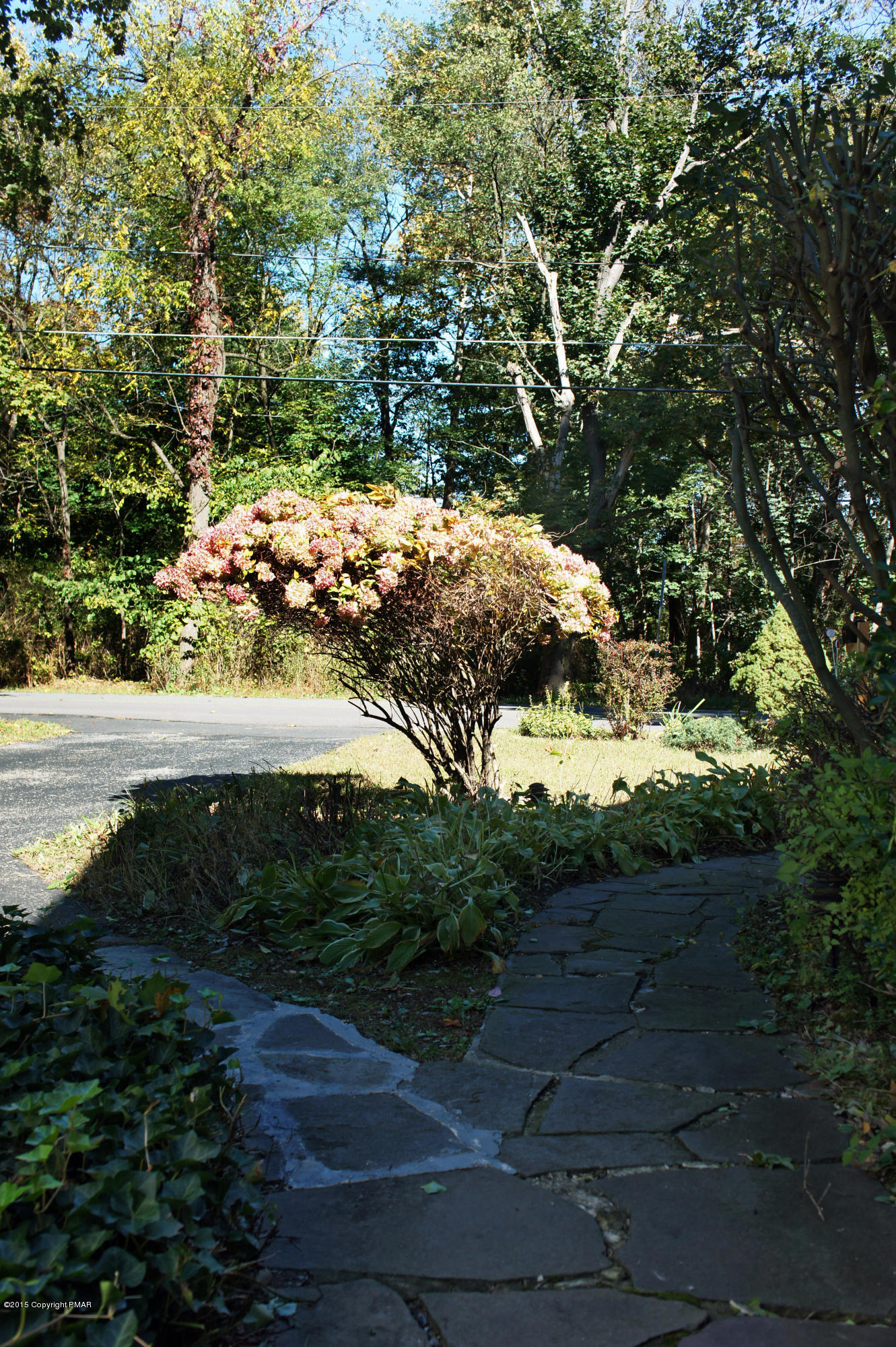 177 Tanite Road Stroudsburg, PA 18360 - Photo 25 of 30 a view of a yard with plants and large trees